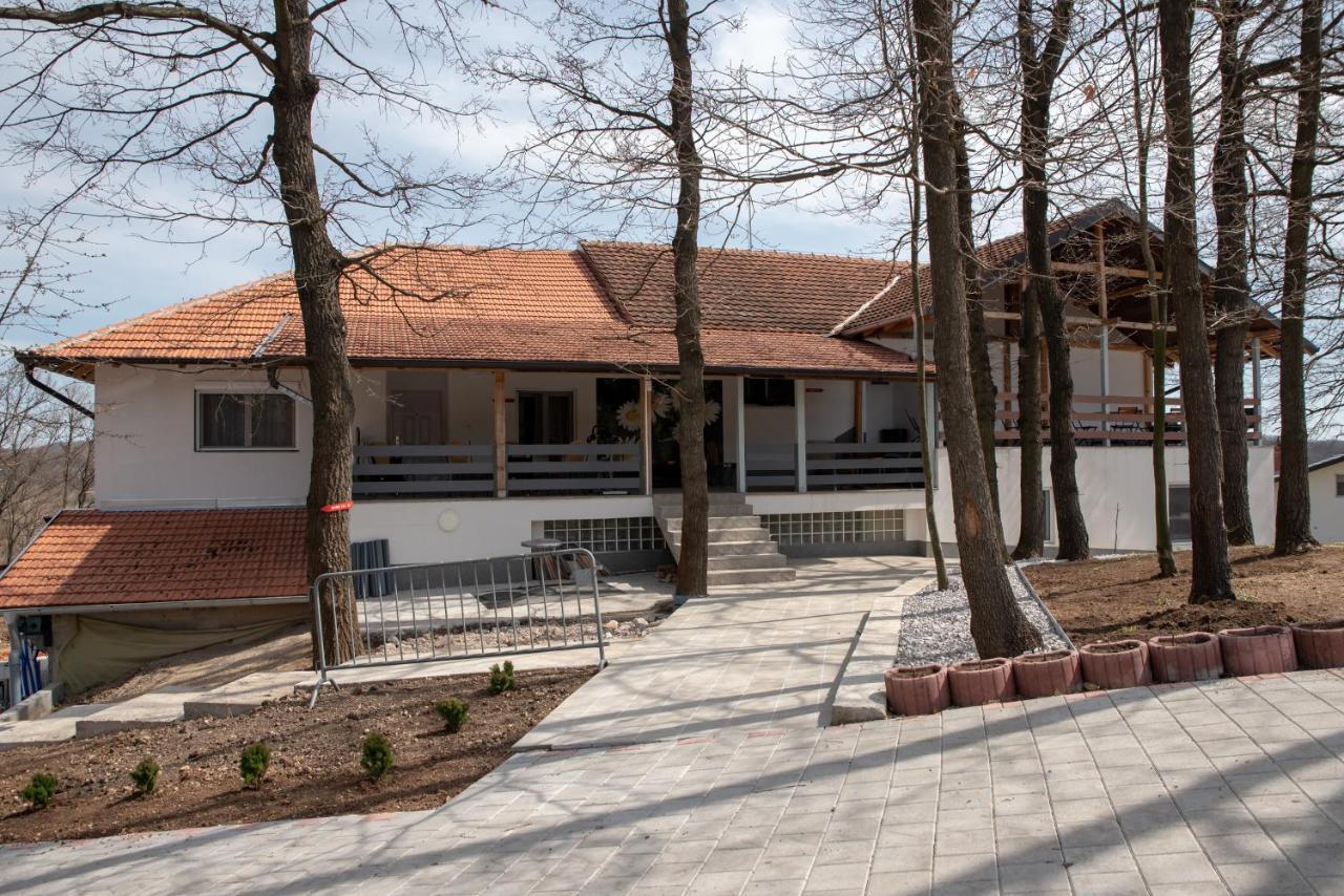 Konak Ljubica Rtanj Boljevac 외부 사진